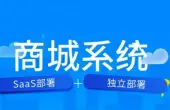 某电商有限公司电商平台开发