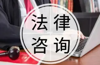 法律咨询与指导