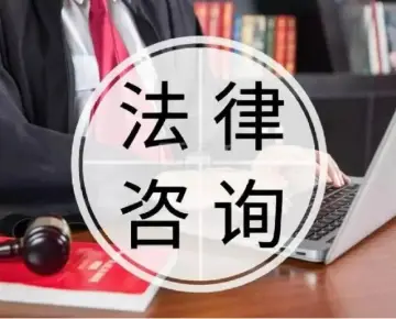 法律咨询与指导