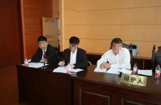 辩护