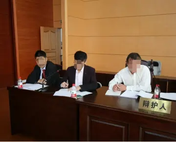 辩护