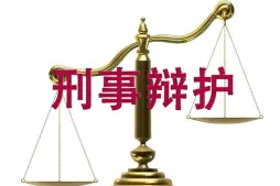 刑事责任辩护