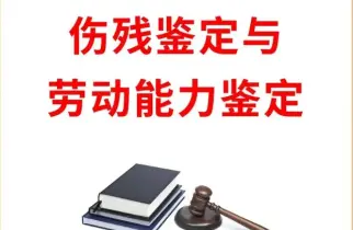 伤残鉴定与损失评估
