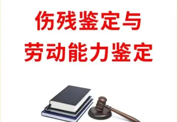 伤残鉴定与损失评估