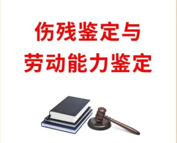 伤残鉴定与损失评估