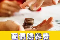 赡养费的确定和争议解决