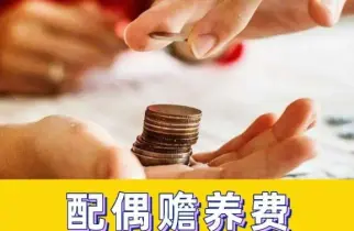 赡养费的确定和争议解决