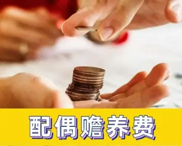 赡养费的确定和争议解决