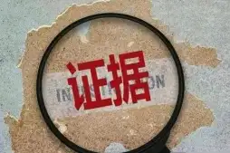 证据收集与整理