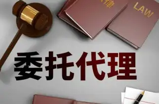 诉讼代理