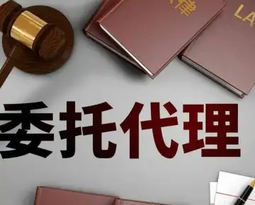 诉讼代理