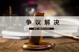 争议解决策略制定