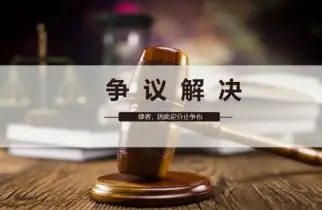 争议解决策略制定