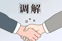 调解与和解代理