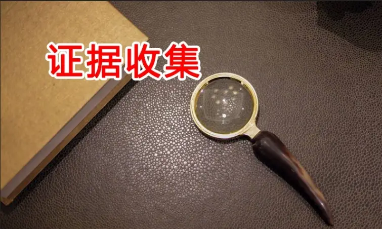 证据收集与准备