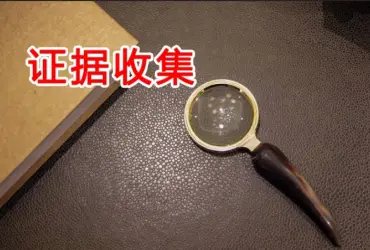 证据收集与准备