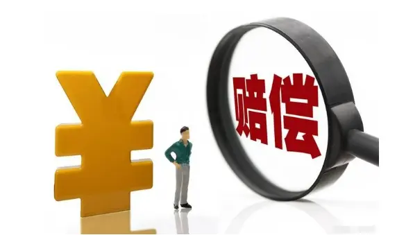 争取损害赔偿