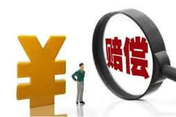 争取损害赔偿