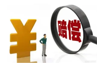 争取损害赔偿