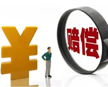 争取损害赔偿