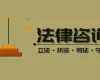 法律咨询与案件评估