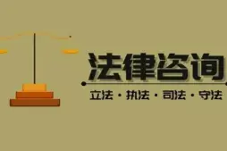 法律咨询与案件评估