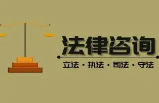 法律咨询与案件评估