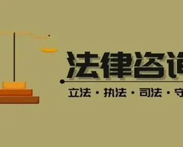 法律咨询与案件评估