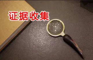 证据收集与准备