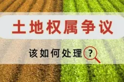 土地使用权纠纷处理