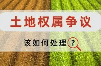 土地使用权纠纷处理