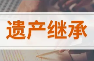 继承权确认与纠纷处理