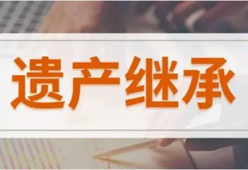继承权确认与纠纷处理