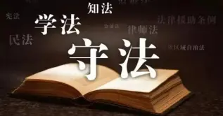 律师的专业背景如何？