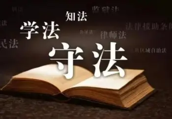 律师的专业背景如何？
