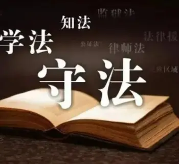 律师的专业背景如何？
