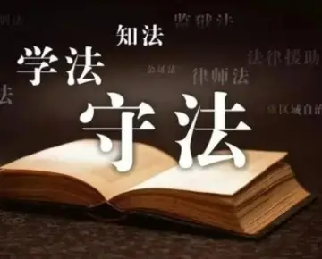 律师的专业背景如何？