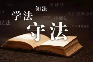 律师的专业背景如何？