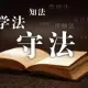 律师的专业背景如何？