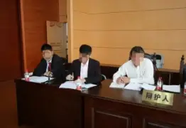 辩护