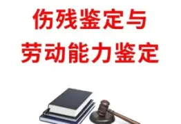 伤残鉴定与损失评估