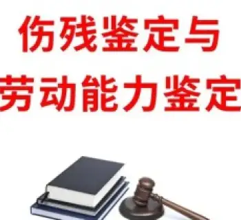 伤残鉴定与损失评估