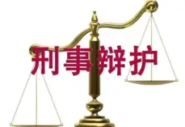 刑事责任辩护
