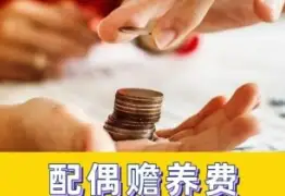 赡养费的确定和争议解决