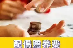 赡养费的确定和争议解决