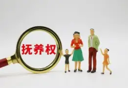抚养权和探视权争议