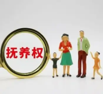 抚养权和探视权争议