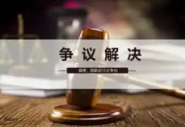 争议解决策略制定