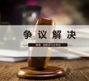 争议解决策略制定