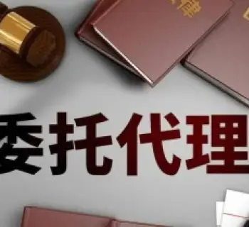诉讼代理